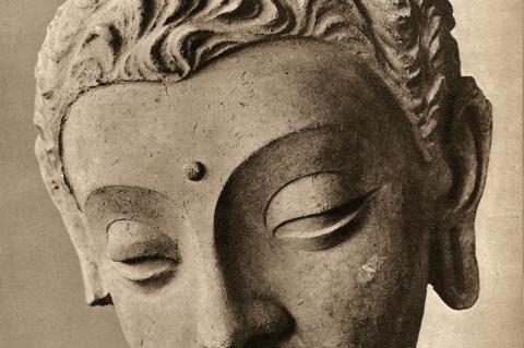 Cabeza de Buddha - Gandhara
