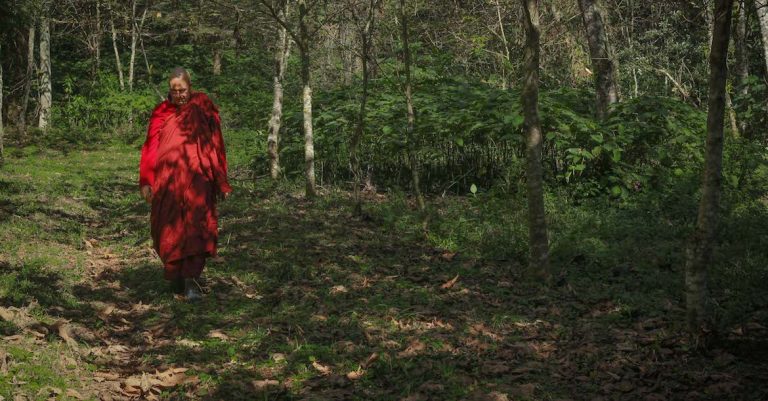Nuevo sitio de Buddhispano