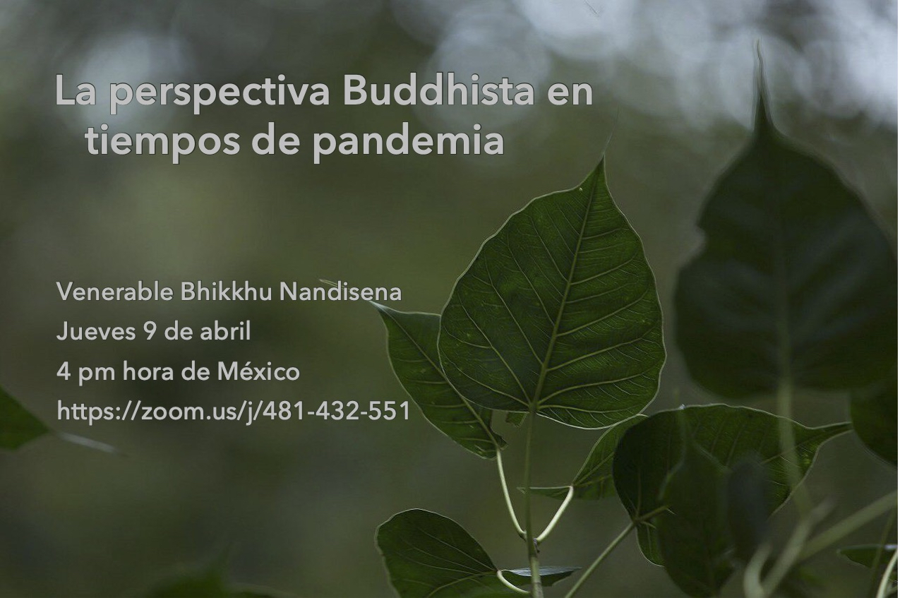 La perspectiva buddhista en tiempos de pandemia